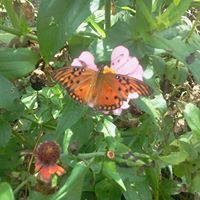 Geraldine Mathias Photo 11