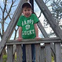 Stacey Brandow Photo 3