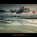 Eduardo Aguilar Photo 13