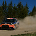 Alan Morin Photo 4