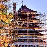 Ralph Jenkins Photo 35