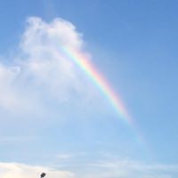 Janice Burns Photo 5