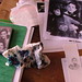 Eddie Andrews Photo 16