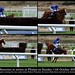 Robert Thornton Photo 44