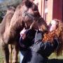 Elizabeth West Photo 31