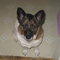 Michelle Marr Photo 35