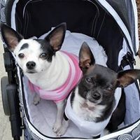 Tracie Hayes Photo 25