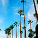 Beverly Anderson Photo 11