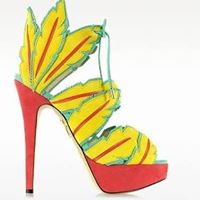 Ariel Jenkins Photo 11