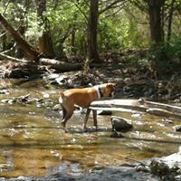 Sheila Roberson Photo 18