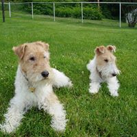 Kim Hargett Photo 32