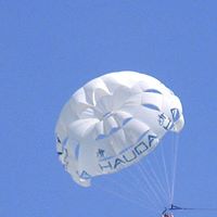 Janice Gruber Photo 6