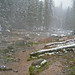 Jerry Springs Photo 18