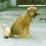Carol Crawford Photo 32