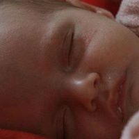 Sandra Welch Photo 4