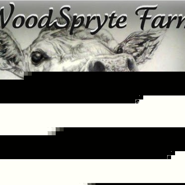 Tiffany Rich Photo 31