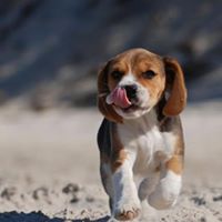 Mitchell Moore Photo 18