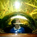 Boy Acosta Photo 14