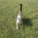 Debora Mcdowell Photo 8