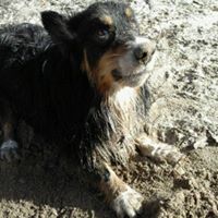 Kathryn Rasmussen Photo 25