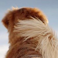 Pamela Shannon Photo 28