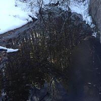 Linda Ritter Photo 22