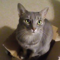 Sherrie Wheeler Photo 14