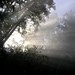 Joy Feldman Photo 22