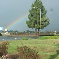 Rosalba Rodriguez Photo 20