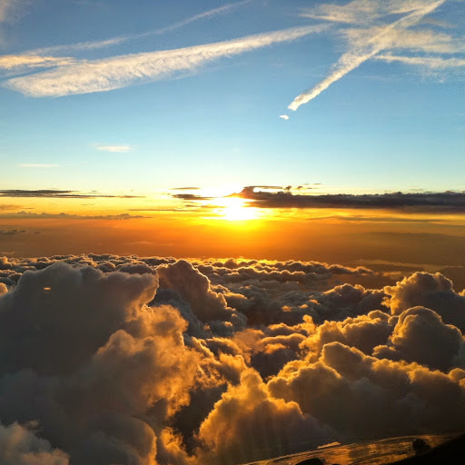 Randy Hammonds Photo 17