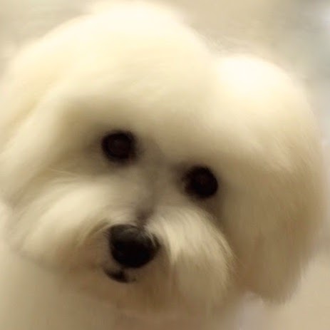 Barbara Cody Photo 29