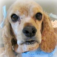 Dorothy Baxter Photo 27