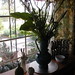 Pat Hopper Photo 10