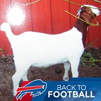 Larry Hillman Photo 27 Larry Hillman Photo 27