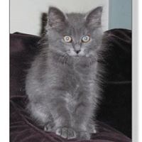 Ellen Brooks Photo 17