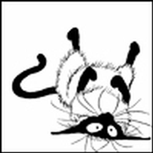 Michael Forsyth Photo 29