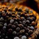 Sheila Barker Photo 31