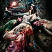 Robert Plourde Photo 19