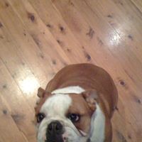 Betty Webber Photo 15