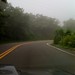 Jan Robles Photo 24