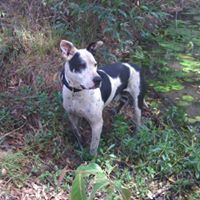 Mitchell Morgan Photo 32 Mitchell Morgan Photo 32