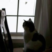 Jean Collins Photo 18