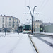 Nancy Snow Photo 22