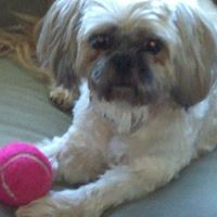 Michele Benedict Photo 7