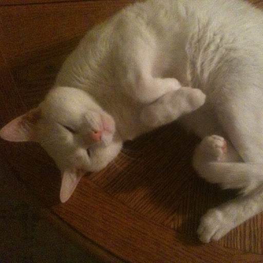 Kenny Patterson Photo 31