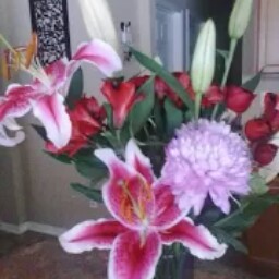 Aimee Rogers Photo 30