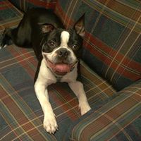 Brady Mcdaniel Photo 8