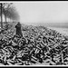 Tom Case Photo 20
