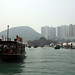 Elizabeth Tsai Photo 31
