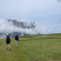 Suzanne Henderson Photo 24